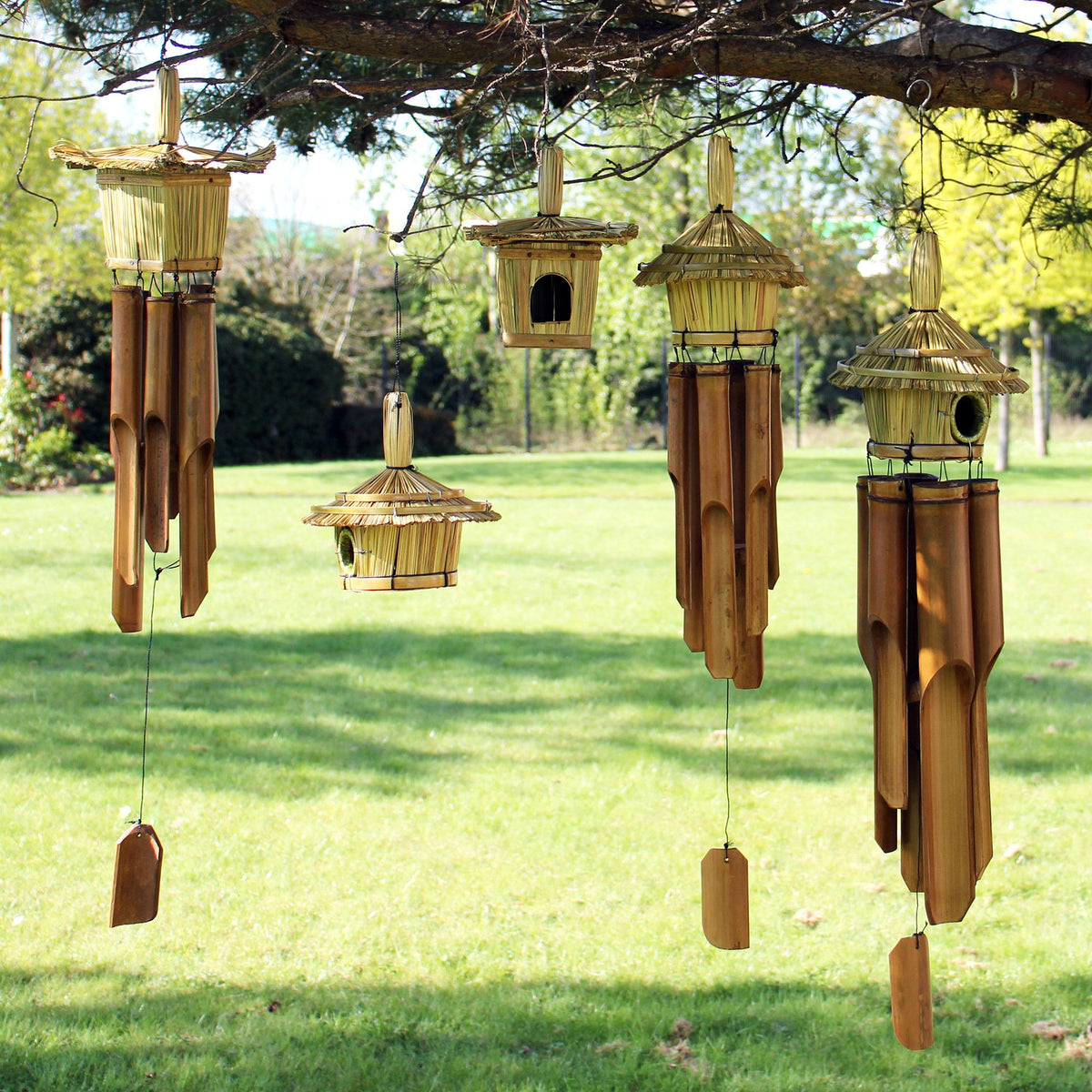 Caja Pequeña Cuadrada para Pájaros 49x15cm