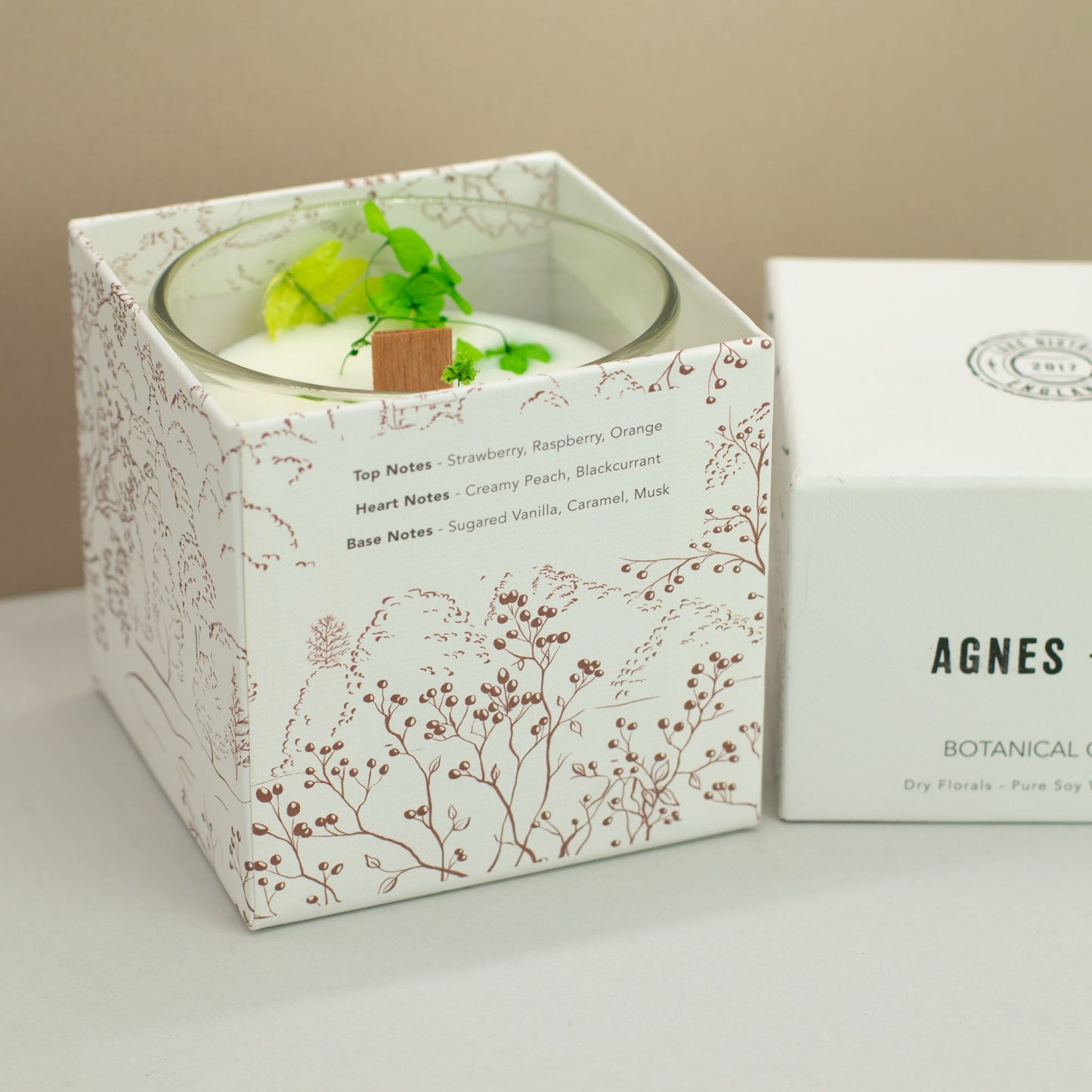 Vela de Cera de Soja Botánica Agnes + Cat - Fellberry
