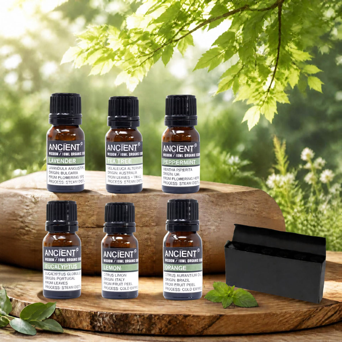 Seis aromas, seis momentos para ti